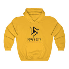 Load image into Gallery viewer, The Alpha Hoodie